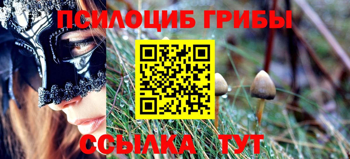 Галлюциногенные грибы Cubensis Саратов