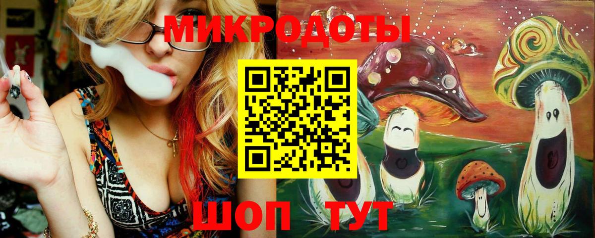 Саратов  Псилоцибиновые грибы Psilocybe  Вход с VPN 